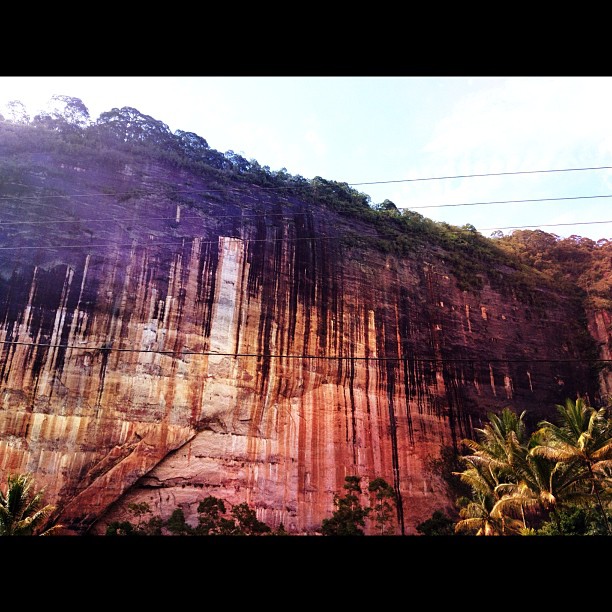 417097_4961314753272_1762804256_n