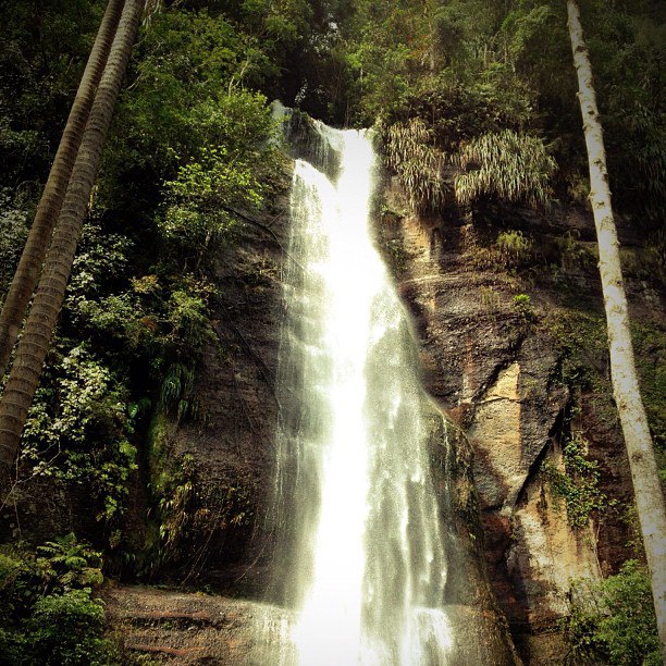 556262_4961272392213_1234676685_n