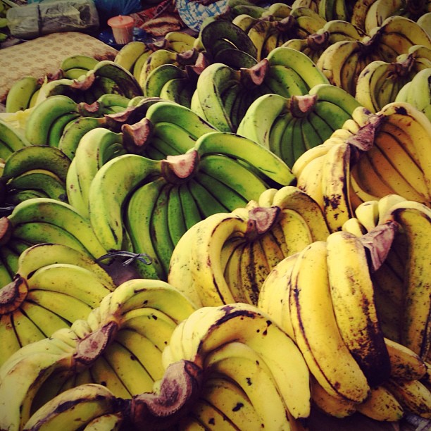 67849_4961452236709_1032644569_n