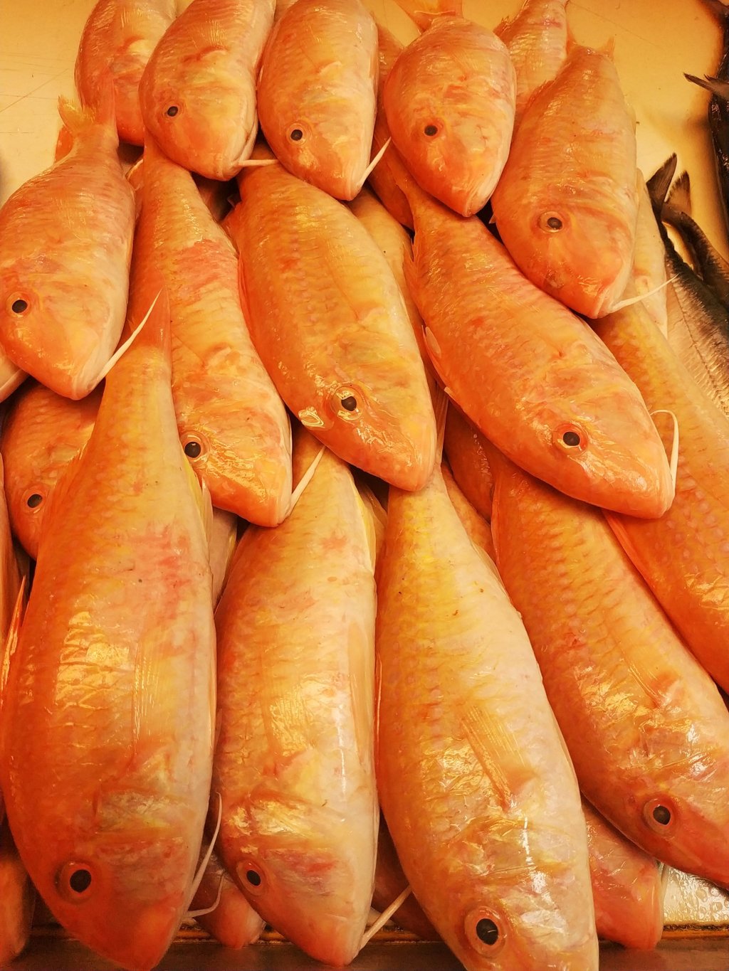 The Land of Goods&nbsp;(Gallery)